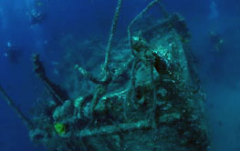 Izveštaji sa ronjenja